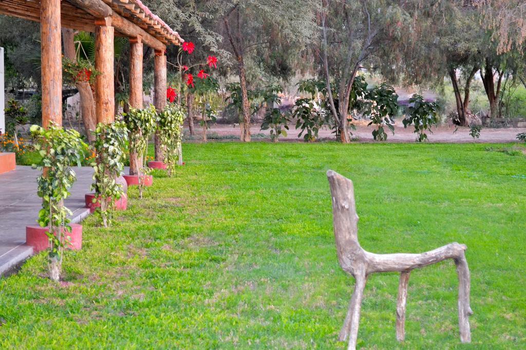 Hotel Fundo San Rafael Nazca Eksteriør bilde